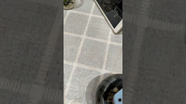 Дышать чесноком при заболевания  гриппа