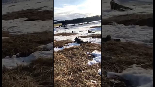 #Работа инструкторского состава центра тактической подготовки #Архангел с подразделениями #ОМОН