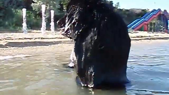 2010, июня 10.mov смотреть онлайн