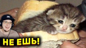 ЗАСМЕЯЛСЯ - ПРОИГРАЛ ► ЛУЧШИЕ ПРИКОЛЫ ( УЛЫБНУЛИСЬ ПРОИГРАЛИ СОЮЗ СМЕХА ) | Реакция