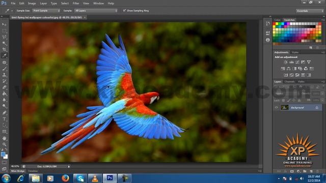How to use Eyedropper Tool in Photoshop CS 6 Urdu Tutorials | xpacademy смотреть онлайн