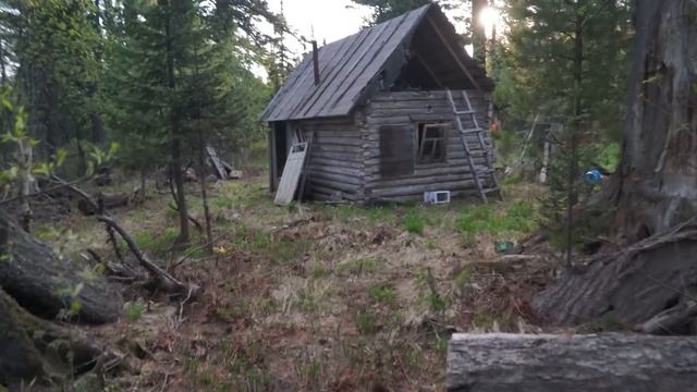 СТОЛЬКО ЗВЕРЬЯ У ИЗБУШКИ Я НИКОГДА НЕ ВИДЕЛ смотреть онлайн