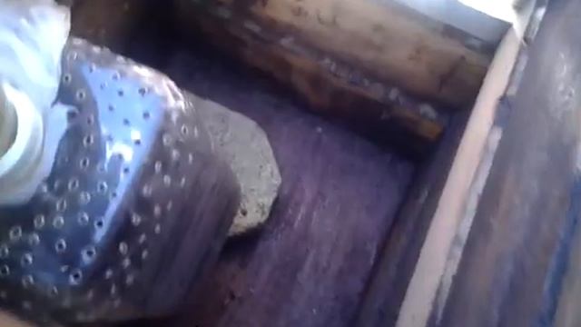 Заполнение нуклеуса Джинн пчёлами - налёт на маточник. смотреть онлайн