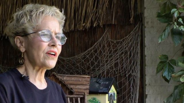 My Sunken Garden - 2014 Update