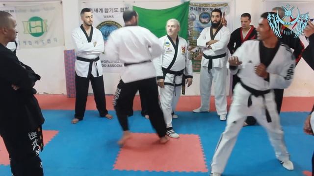 Hapkido Savaş Sanatı [Cezayir'de WAHA Dersi] смотреть онлайн