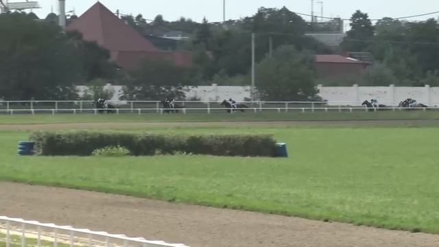Видео Краснодарский ипподром 10 скаковой день - 22.07.2023г. смотреть онлайн