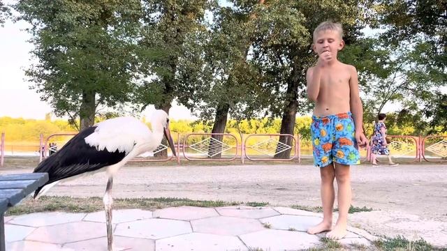 С Днём Рождения, Павел! смотреть онлайн