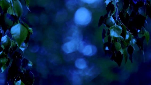 Ошо. ТЫ ПОТЕРЯЛ СЕБЯ СРЕДИ ВСЯКОЙ ЧЕПУХИ. Просветление. Пробуждение смотреть онлайн