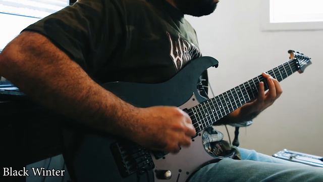 Seymour Duncan Black Winter VS Dimarzio IBZ