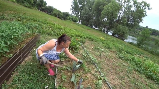 ВЛОГ: Витыны поделки. Что выросло на высоких грядках / Жизнь на даче смотреть онлайн