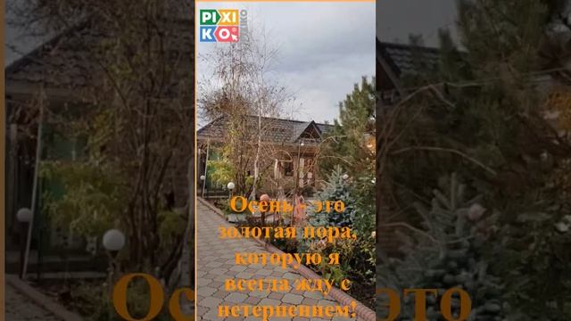 Осень. Солнце нежно проникает сквозь листву, создавая волшебную игру... смотреть онлайн