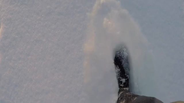 Неожиданная встреча с МЕДВЕДЕМ в лесу! смотреть онлайн