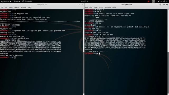 Encryption and decryption with openssl смотреть онлайн