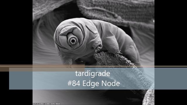 tardigrade #84 Edge Node смотреть онлайн