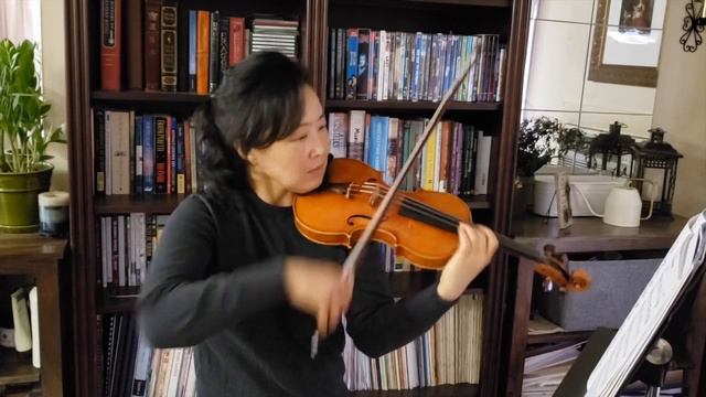 Minuet in D minor by W. A. Mozart for violin (Suzuki Book 7) смотреть онлайн