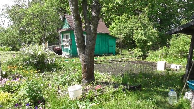 \зачем вы девушки красивых любите\на природе\нижегор\гарм\от самор\слухача\без\малейш\муз академиев