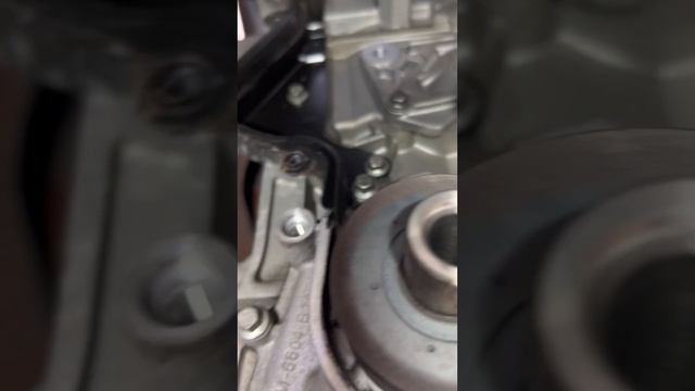Ford fiesta Timing belt replacement смотреть онлайн