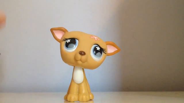 My New Greyhound LPS! смотреть онлайн