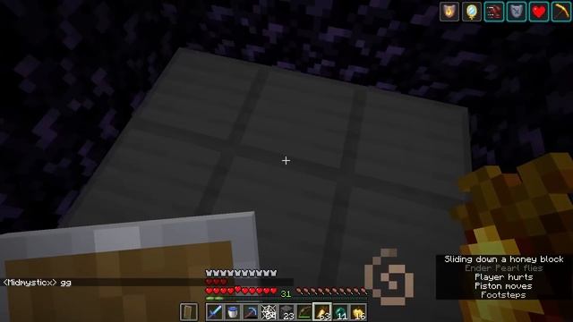 The Great Cleansing of LifeSteal SMP смотреть онлайн