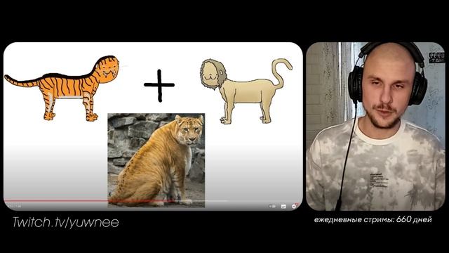 Yuwnee смотрит 