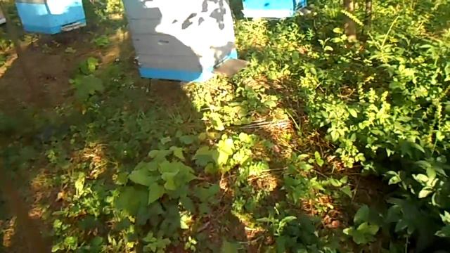 подставка под ульи смотреть онлайн