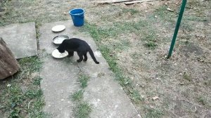 Приятные эмоции обещаем!