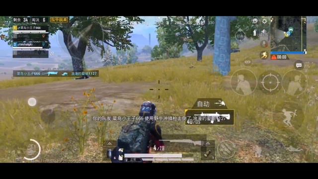 🤩chinese Version In Better Then Global Version?| Pubg Mobile Smooth+extream Honor Play|