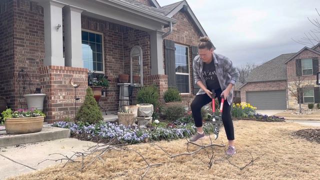 Unique DIY Branch Trellis 🌳🌳🌳 || Planting Gladiolus Bulbs with Spring Annuals || Cheap Garden Hacks смотреть онлайн