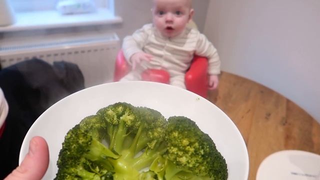 BARNEY TRIES BROCCOLI! First Time Baby Led Weaning