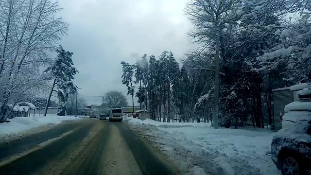 ЯНДЕКС ДОСТАВКА Воронеж смотреть онлайн