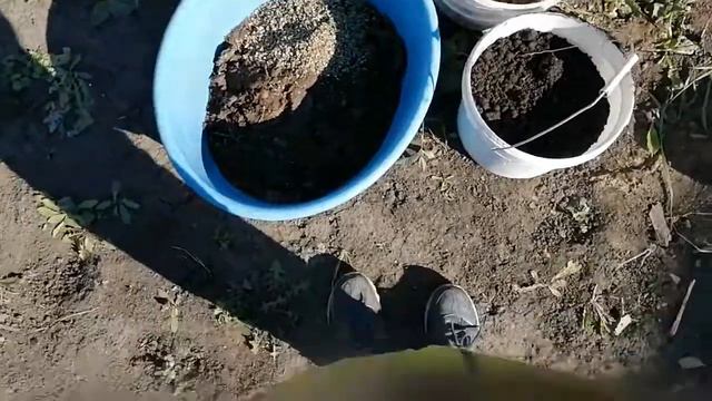 Готовлю грунт для рассады смотреть онлайн