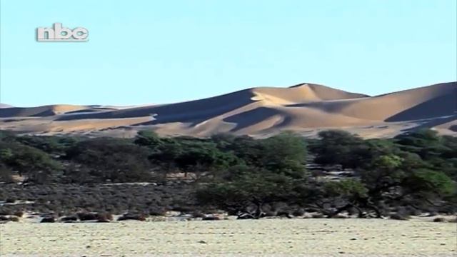 Professor Kerina calls on Namibians to revisit the ideals which united them before independence-NBC смотреть онлайн