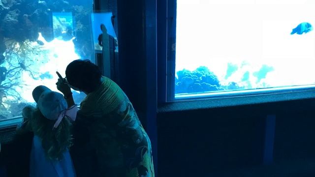 Эйлат | Красное море | Подводная обсерватория смотреть онлайн