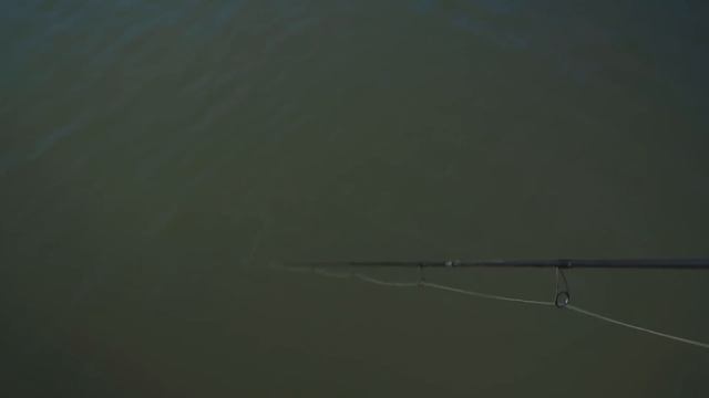 Как сделать проводку, чтобы поймать хищника? смотреть онлайн