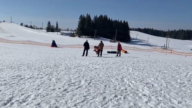 Prime des Crocs du Paсot 🐾 MR-1. 1 place (185 points). Polazna, Perm region, April 9, 2022. смотреть онлайн