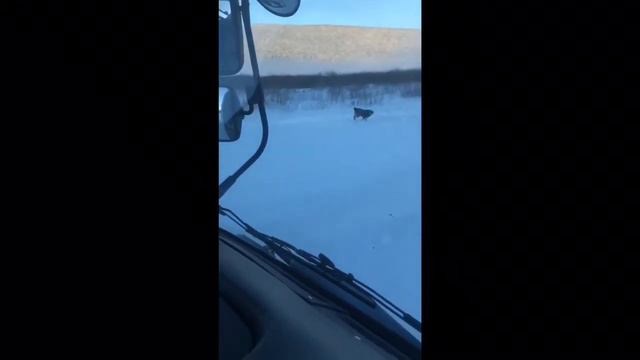 Природа Жигаловского района. Река Лена. смотреть онлайн