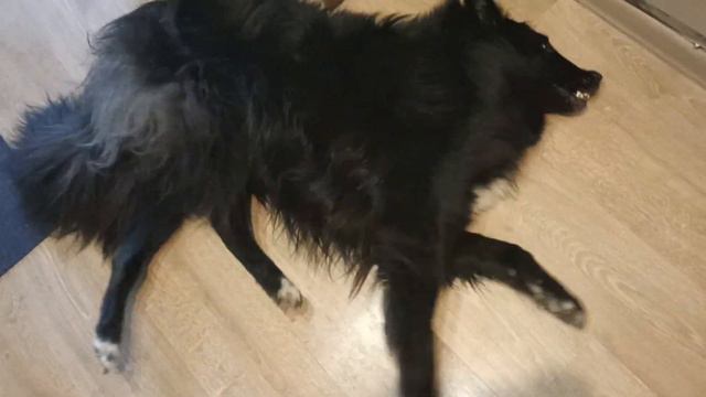 Грюнендаль эпилепсия смотреть онлайн