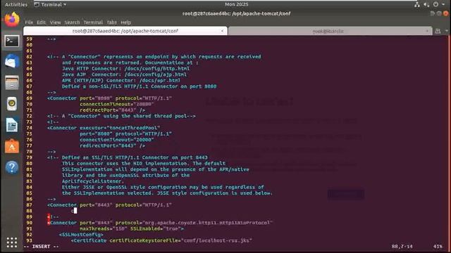 Configure Security Certificate JKS In Apache Tomcat v9 In Hindi. смотреть онлайн