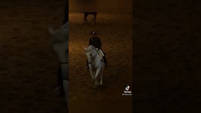 Липицианская порода часть 3. смотреть онлайн