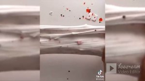 Слайм Истории Смешные. ИСТОРИИ ИЗ ТИК ТОКА. Слаймы и Истории. Слайм Истории. Школьные Истории