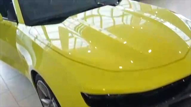 Доводчики дверей Камаро CAMARO смотреть онлайн