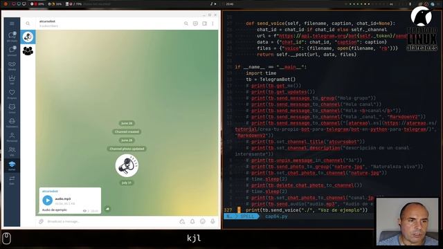 Tutorial de bots para Telegram con Python. Capítulo 4. Enviar audios, vídeos y mucho mas. смотреть онлайн
