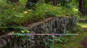 ГУЛЬМИРА МАГОМЕДОВА - ЦВЕТЫ НАШЕЙ ЛЮБВИ 2024