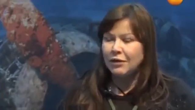 Титаник - факты которые вы не знали! СКРЫТАЯ ПРАВДА! ЧТО СЛУЧИЛОСЬ С ТИТАНИКОМ смотреть онлайн