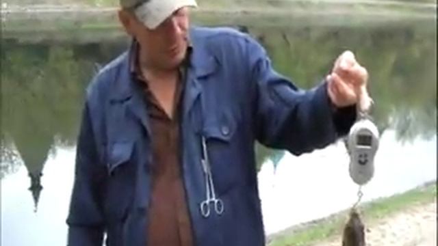 Летняя мормышка с Н.Крекшиным. смотреть онлайн