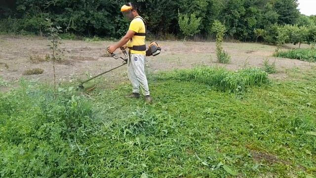 Stihl killer?brutal Bruschutter MS 3300 under 400 € with two tipe of wire ‼️ смотреть онлайн