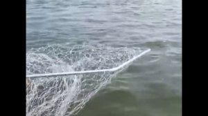 рыбалка!самый большой сом в мире 400кг!