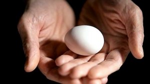 Как выкатывать болезнь на яйцо