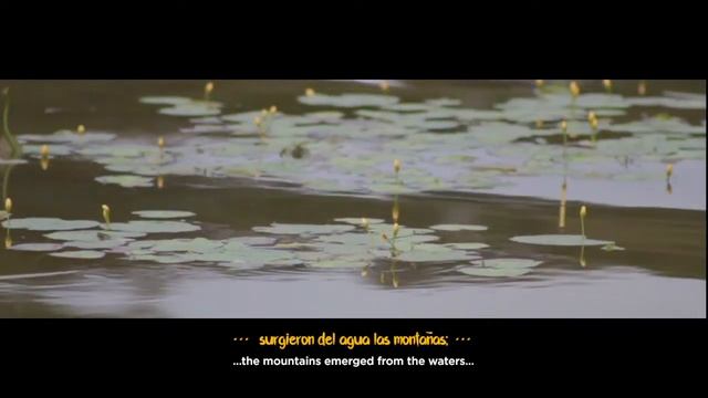 Kikert Elegance - El Inicio