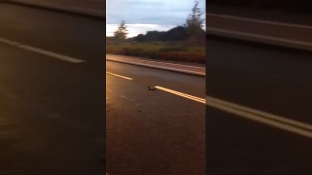 Losi fail смотреть онлайн